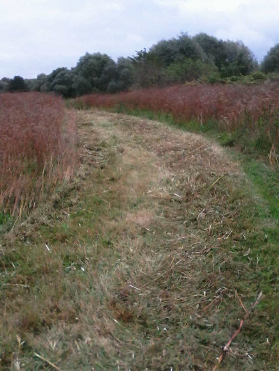 Fauchage du Parcours